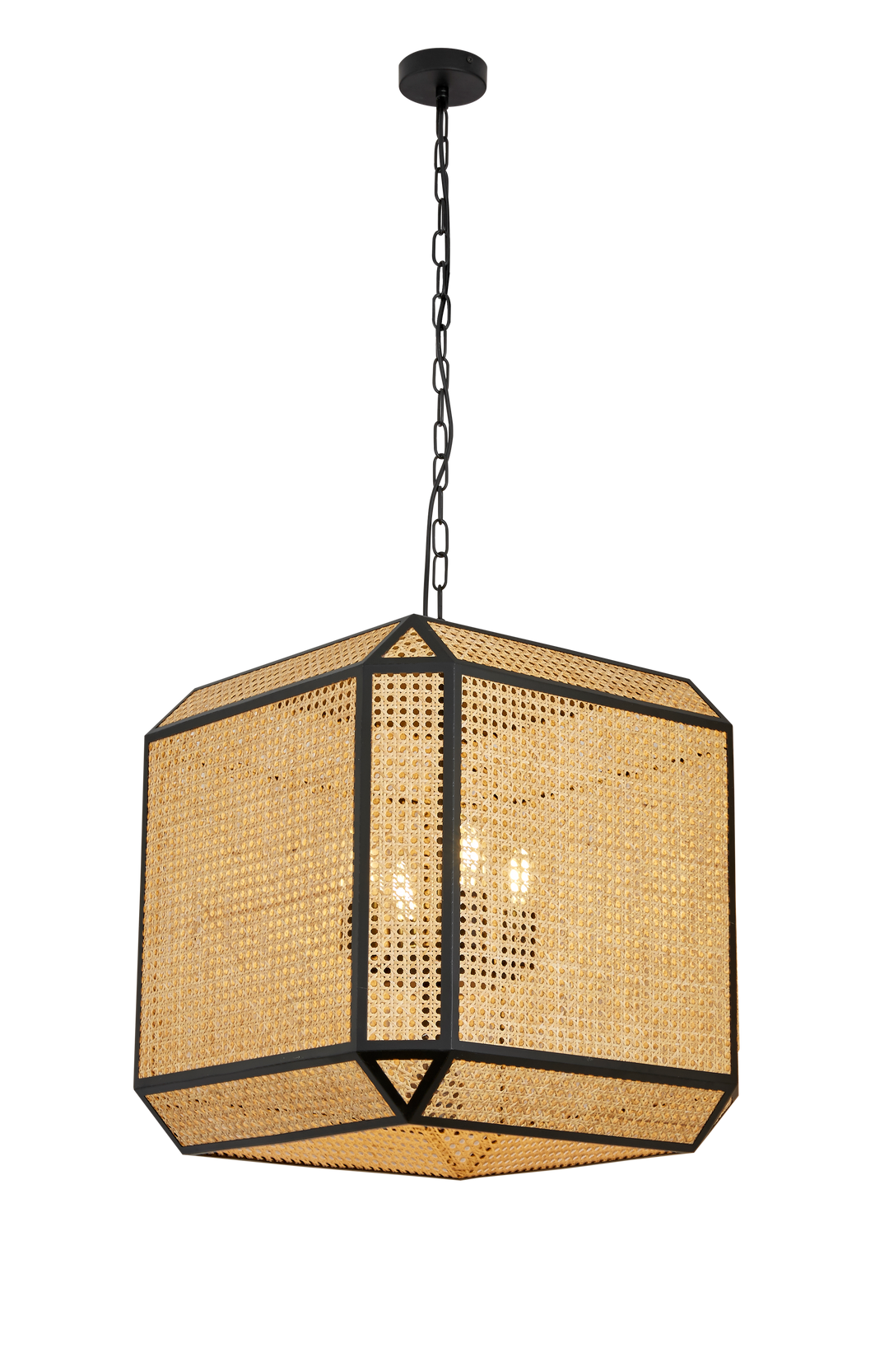Prisma - Suspended Light