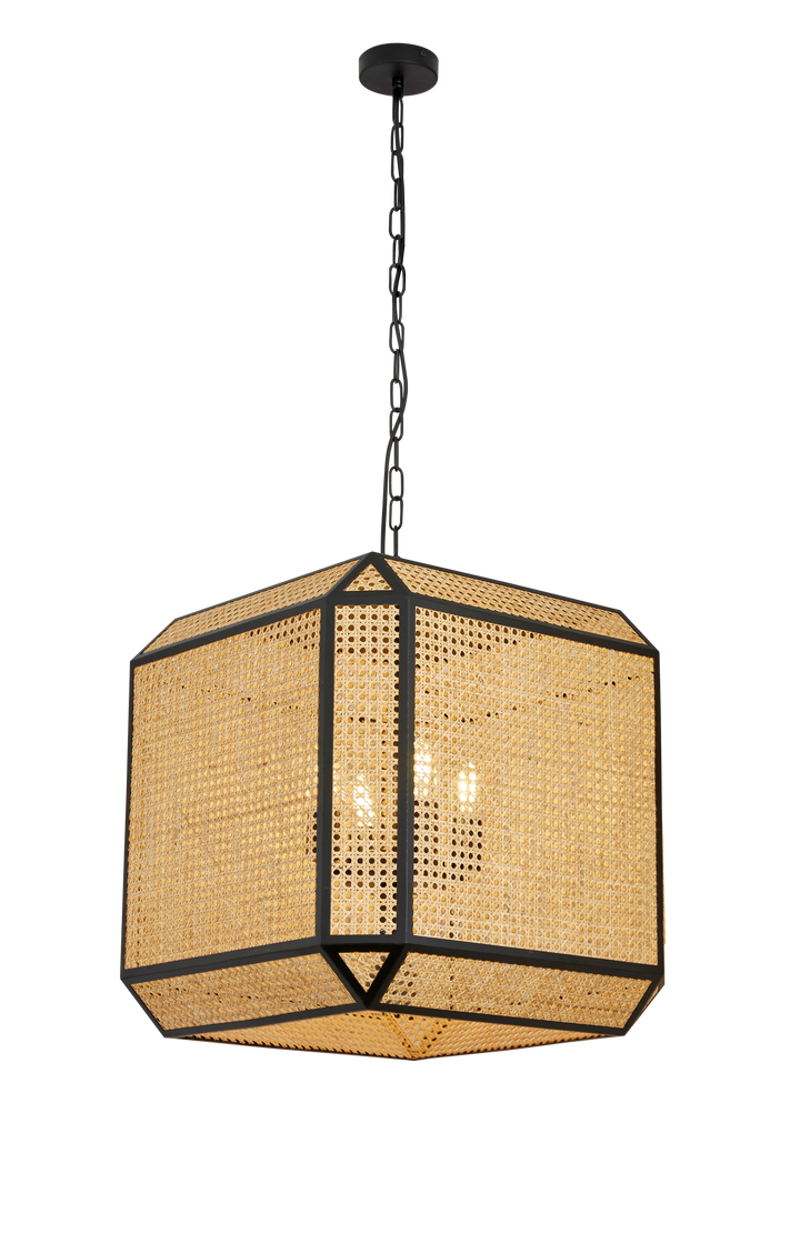 Prisma - Suspended Light