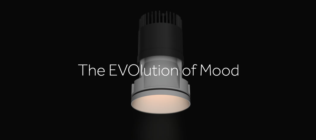 Mood Evo - Reggiani Ceiling Light