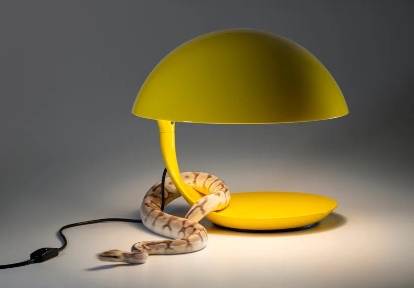 Cobra 100 - Martinelli Luce Table Light