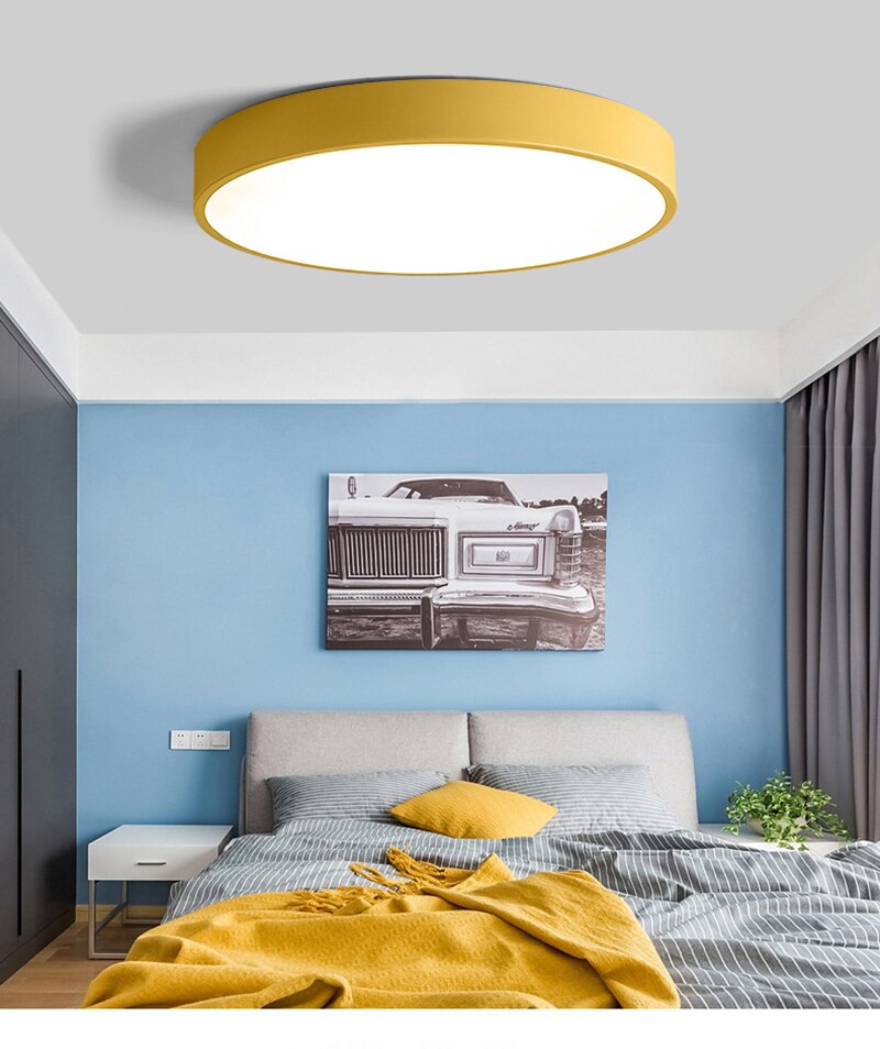 Wilks -Built in LED Modern Ceiling light